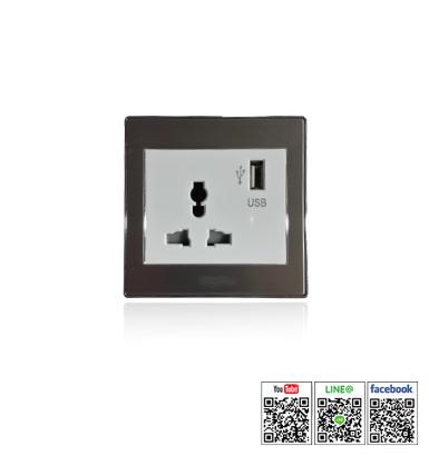Switch,Socket and Accessories รุ่น EH-USB01